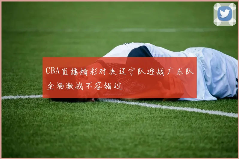 CBA直播精彩对决辽宁队迎战广东队全场激战不容错过