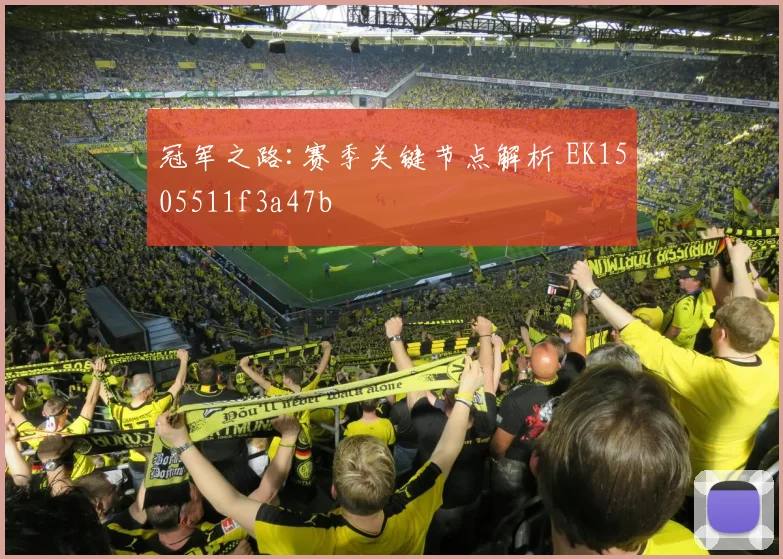 冠军之路:赛季关键节点解析 EK1505511f3a47b