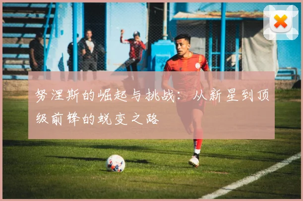 努涅斯的崛起与挑战：从新星到顶级前锋的蜕变之路