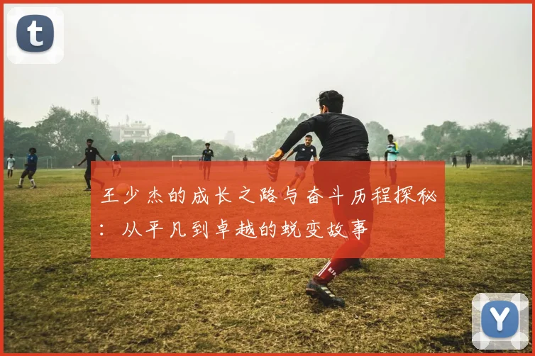 王少杰的成长之路与奋斗历程探秘：从平凡到卓越的蜕变故事