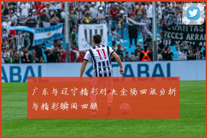 广东与辽宁精彩对决全场回放分析与精彩瞬间回顾