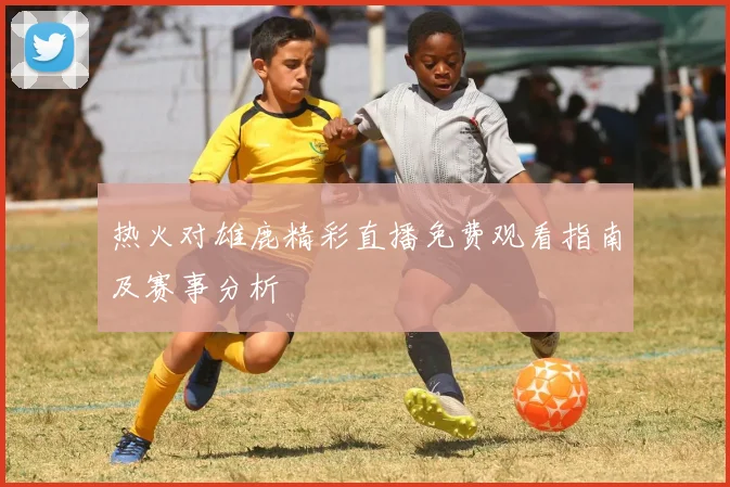 热火对雄鹿精彩直播免费观看指南及赛事分析