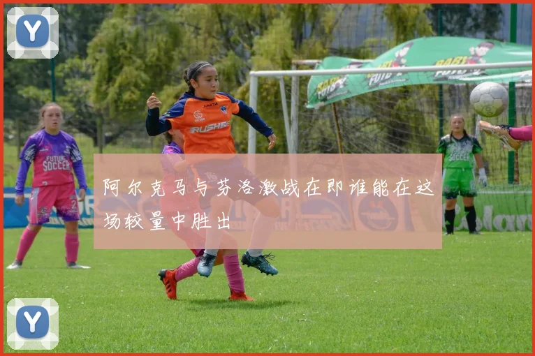 阿尔克马与芬洛激战在即谁能在这场较量中胜出