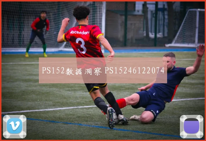 PS152数据洞察 PS15246122074