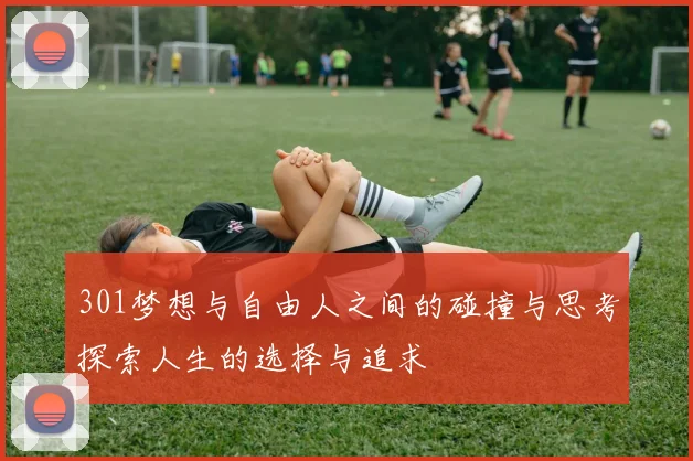 301梦想与自由人之间的碰撞与思考探索人生的选择与追求