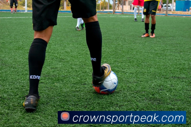 App Interface Preview